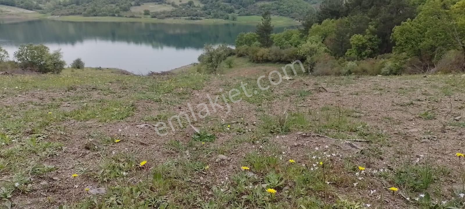 Se&as Exclusıve: Çanakale Yenice Çınarcık'da Satılık Arazi - Görsel 3