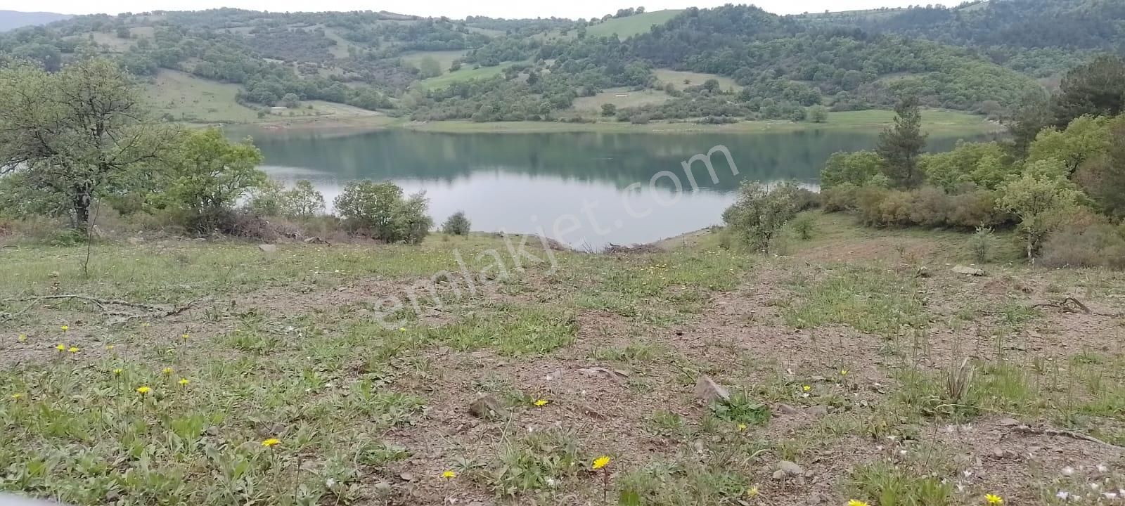 Se&as Exclusıve: Çanakale Yenice Çınarcık'da Satılık Arazi - Görsel 5