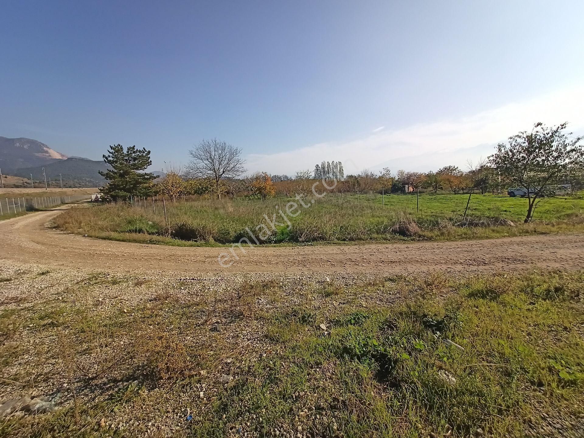 Kaçmaz Emlak Gürsu Kazıklı Köy Satılık Tarla Bahçe - Görsel 23