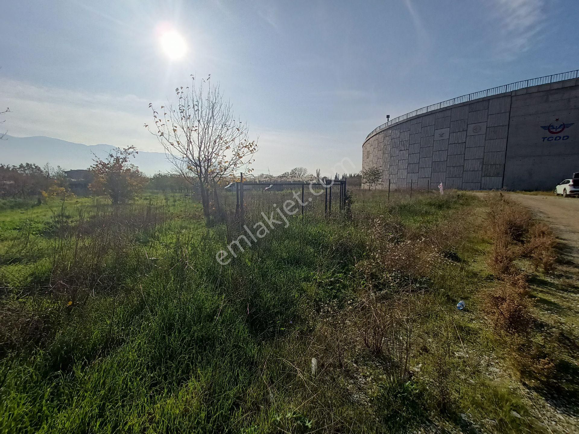 Kaçmaz Emlak Gürsu Kazıklı Köy Satılık Tarla Bahçe - Görsel 6