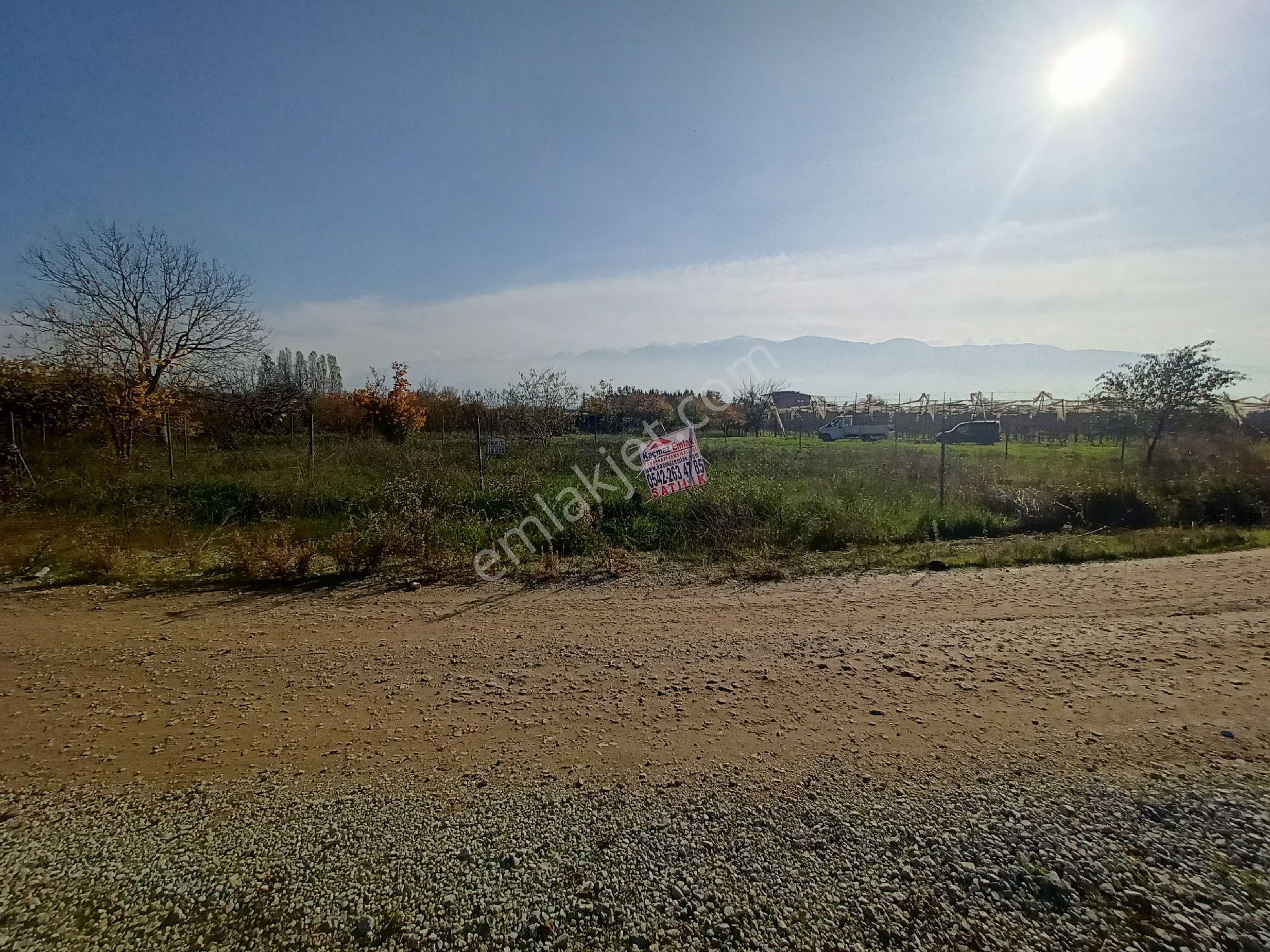 Kaçmaz Emlak Gürsu Kazıklı Köy Satılık Tarla Bahçe - Görsel 11
