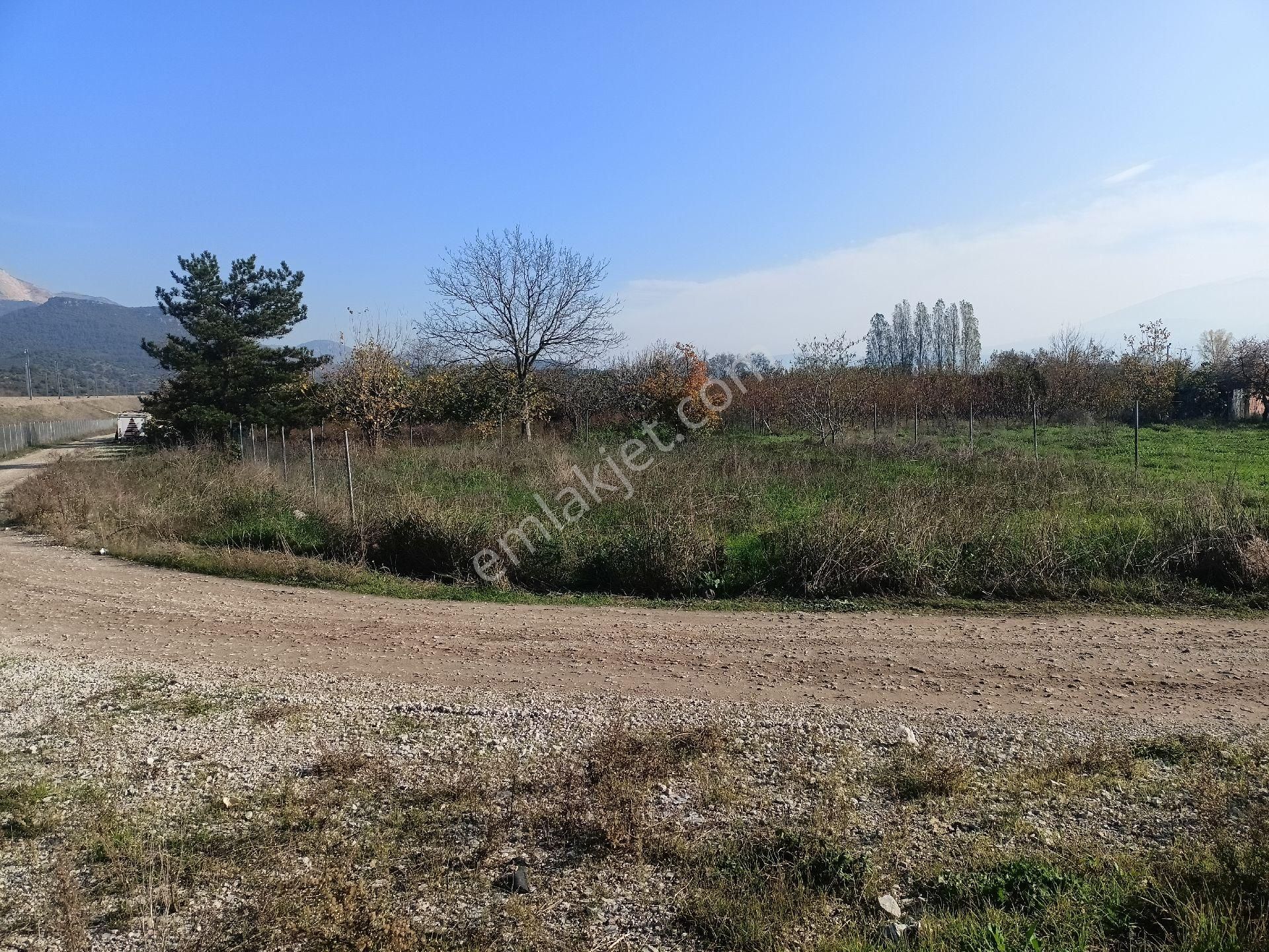 Kaçmaz Emlak Gürsu Kazıklı Köy Satılık Tarla Bahçe - Görsel 22