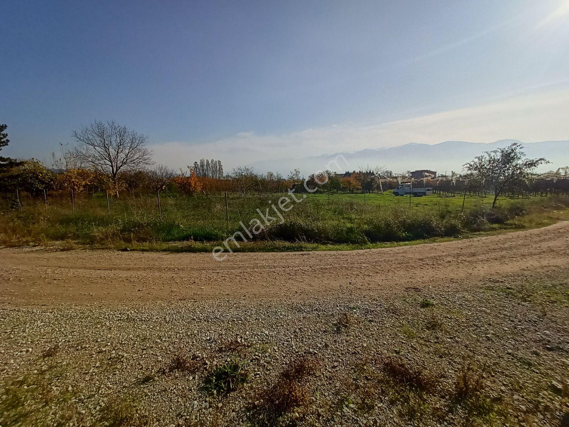 Kaçmaz Emlak Gürsu Kazıklı Köy Satılık Tarla Bahçe - Görsel 27