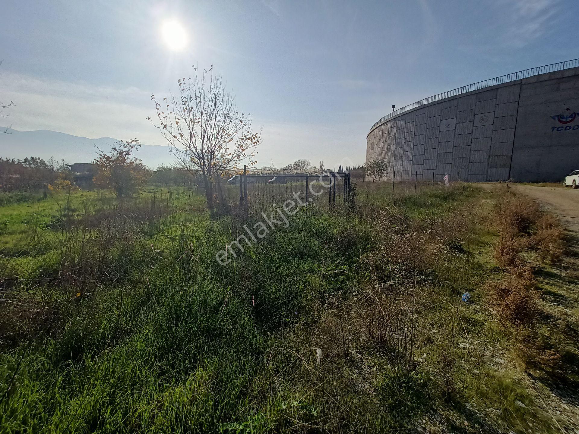 Kaçmaz Emlak Gürsu Kazıklı Köy Satılık Tarla Bahçe - Görsel 7