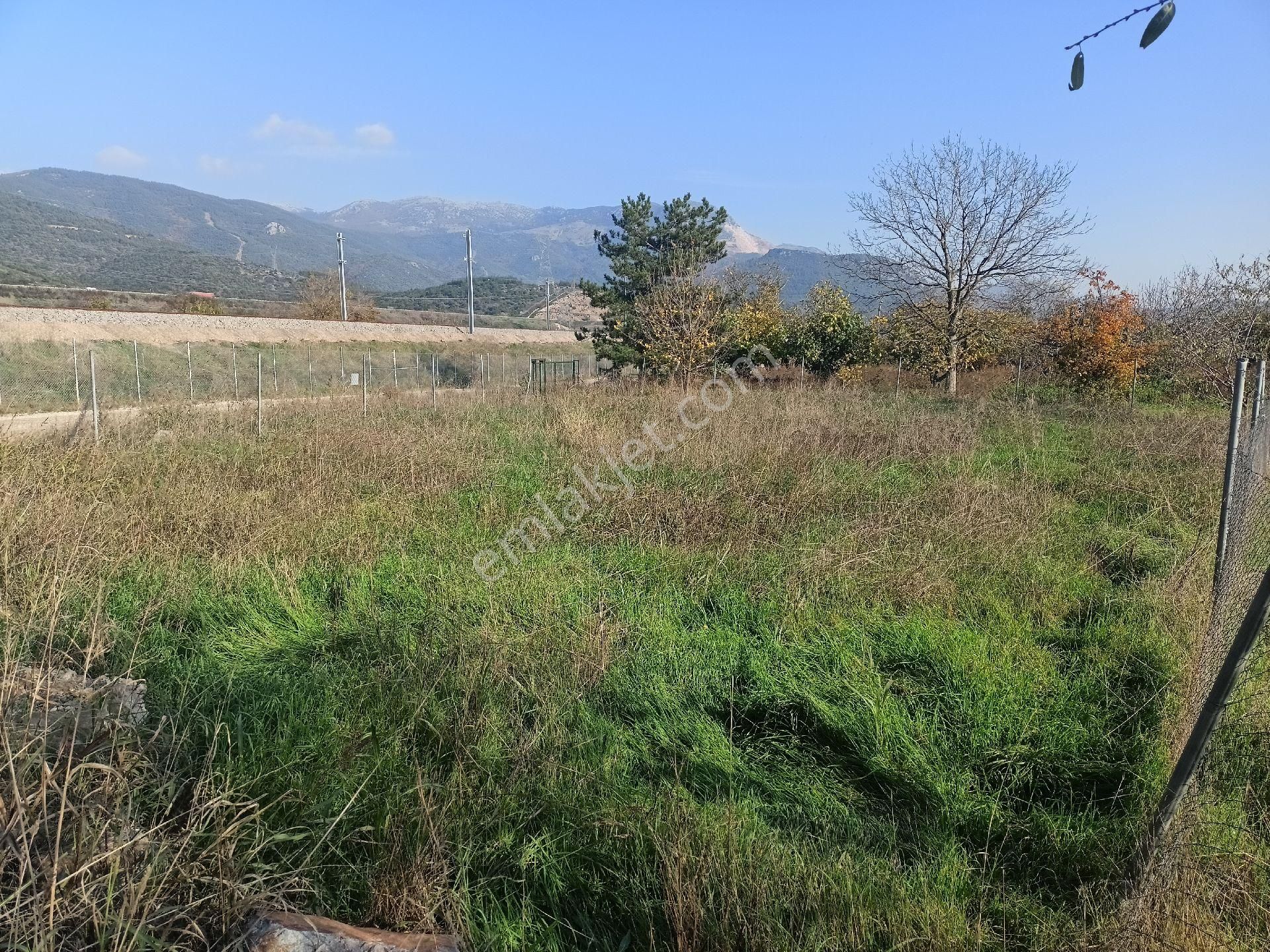 Kaçmaz Emlak Gürsu Kazıklı Köy Satılık Tarla Bahçe - Görsel 16