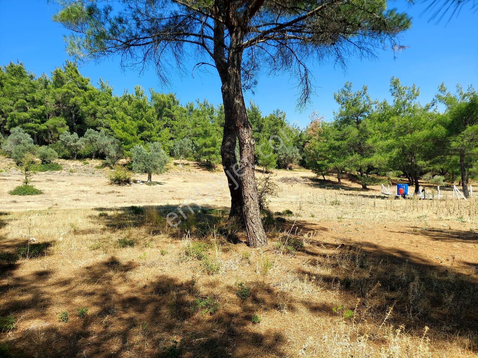 Menderes Ataköy' De Tek Tapu İmar Yakınında Satılık Arsa - Görsel 14