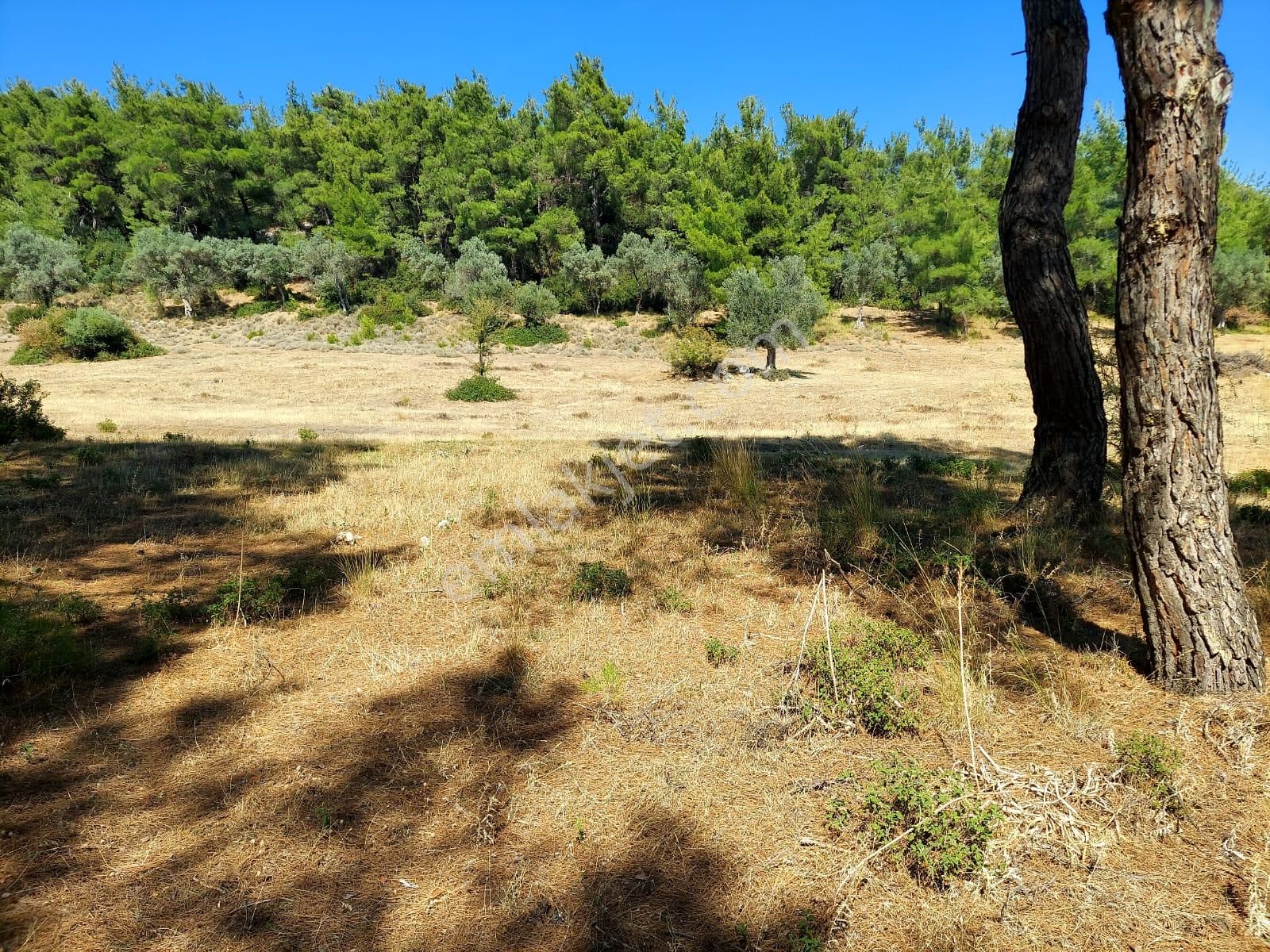 Menderes Ataköy' De Tek Tapu İmar Yakınında Satılık Arsa - Görsel 10