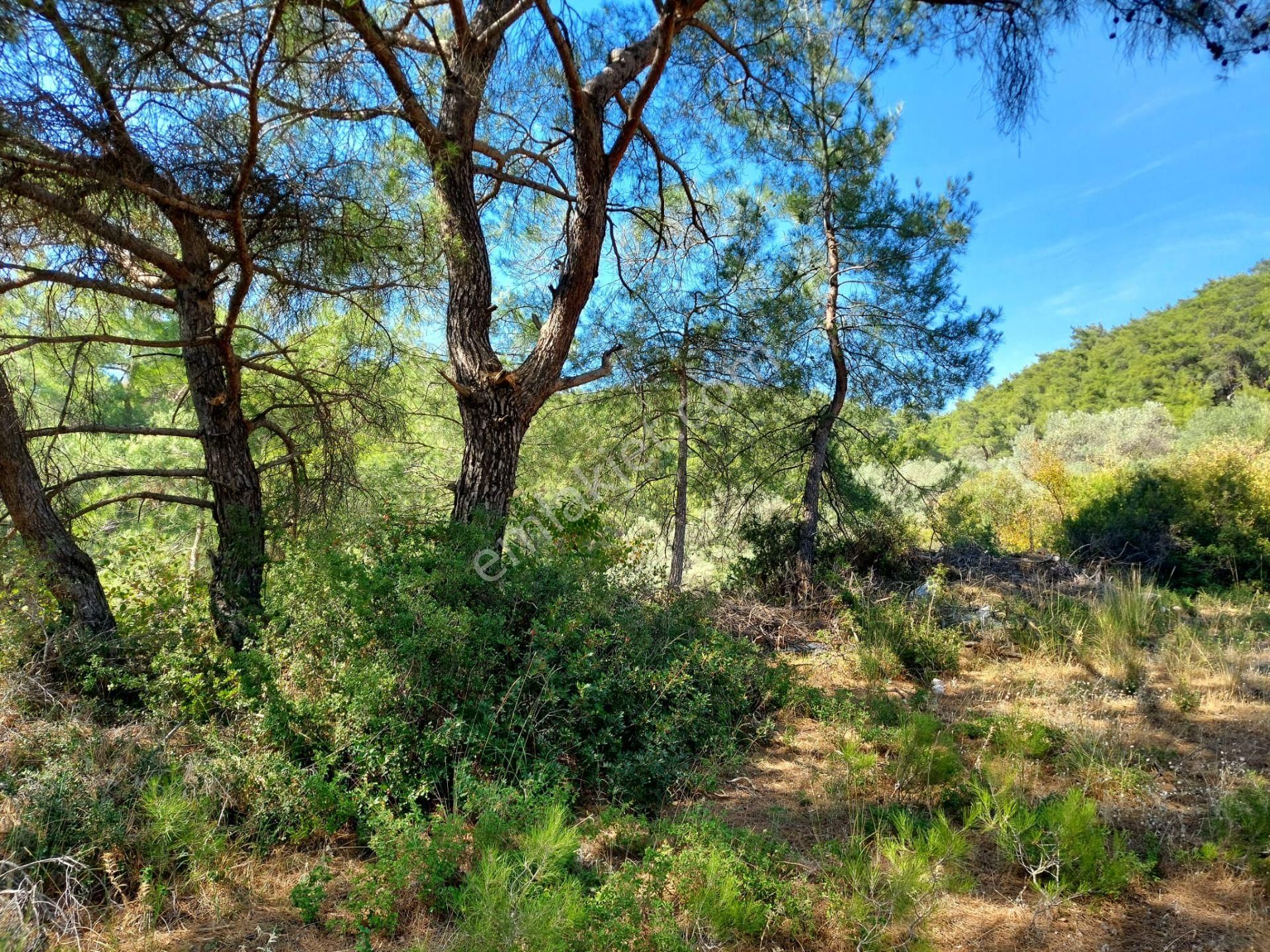 Menderes Ataköy' De Tek Tapu İmar Yakınında Satılık Arsa - Görsel 16