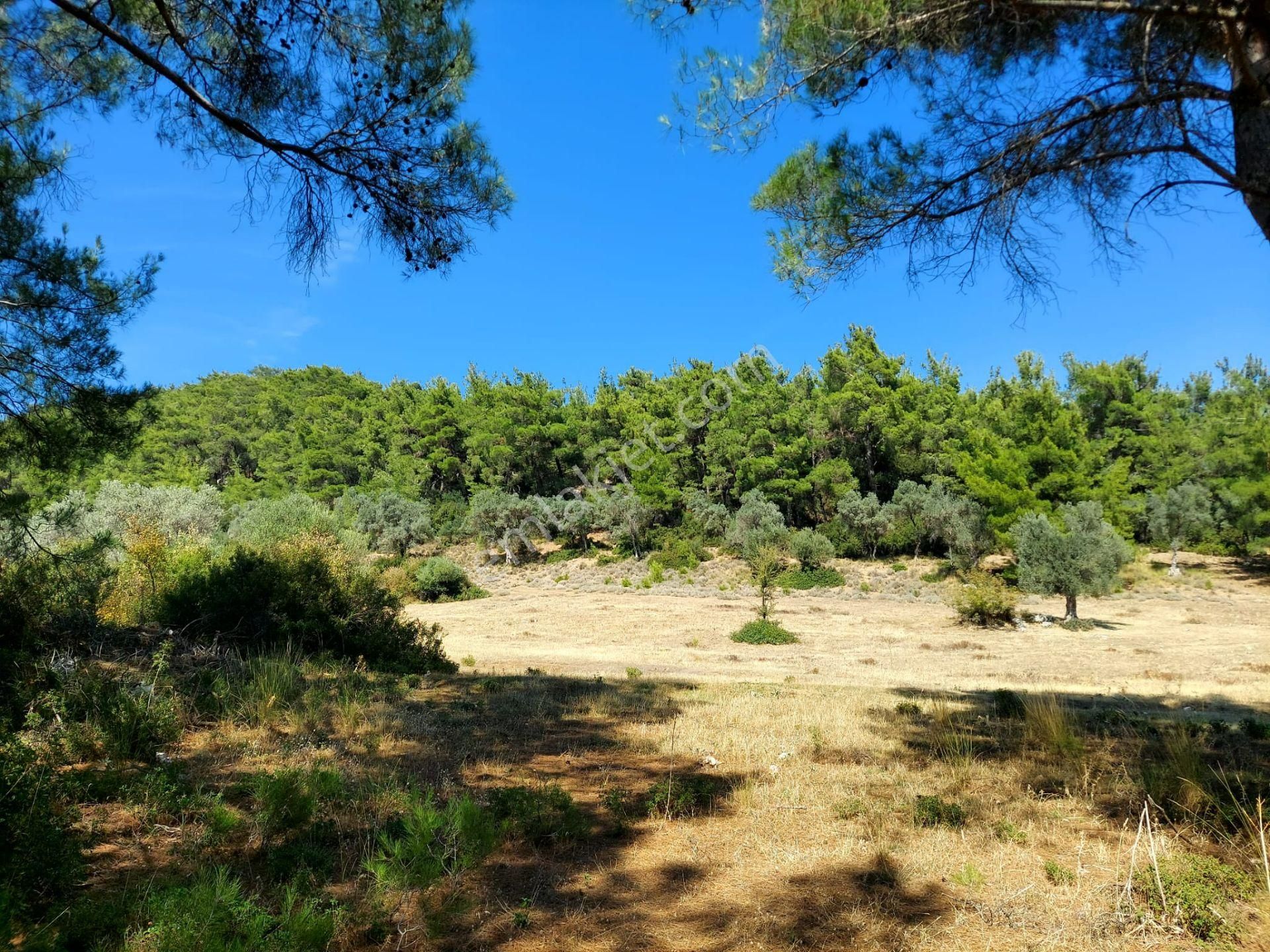 Menderes Ataköy' De Tek Tapu İmar Yakınında Satılık Arsa - Görsel 15