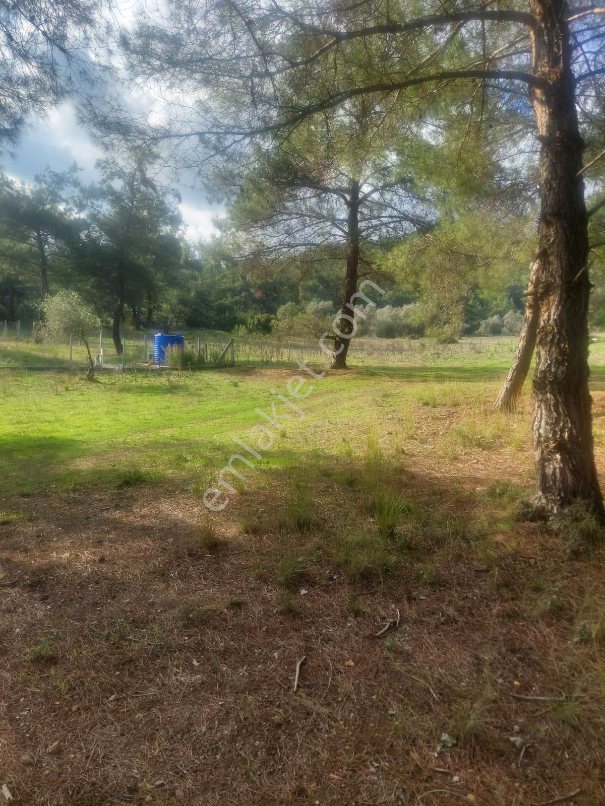 Menderes Ataköy' De Tek Tapu İmar Yakınında Satılık Arsa - Görsel 5