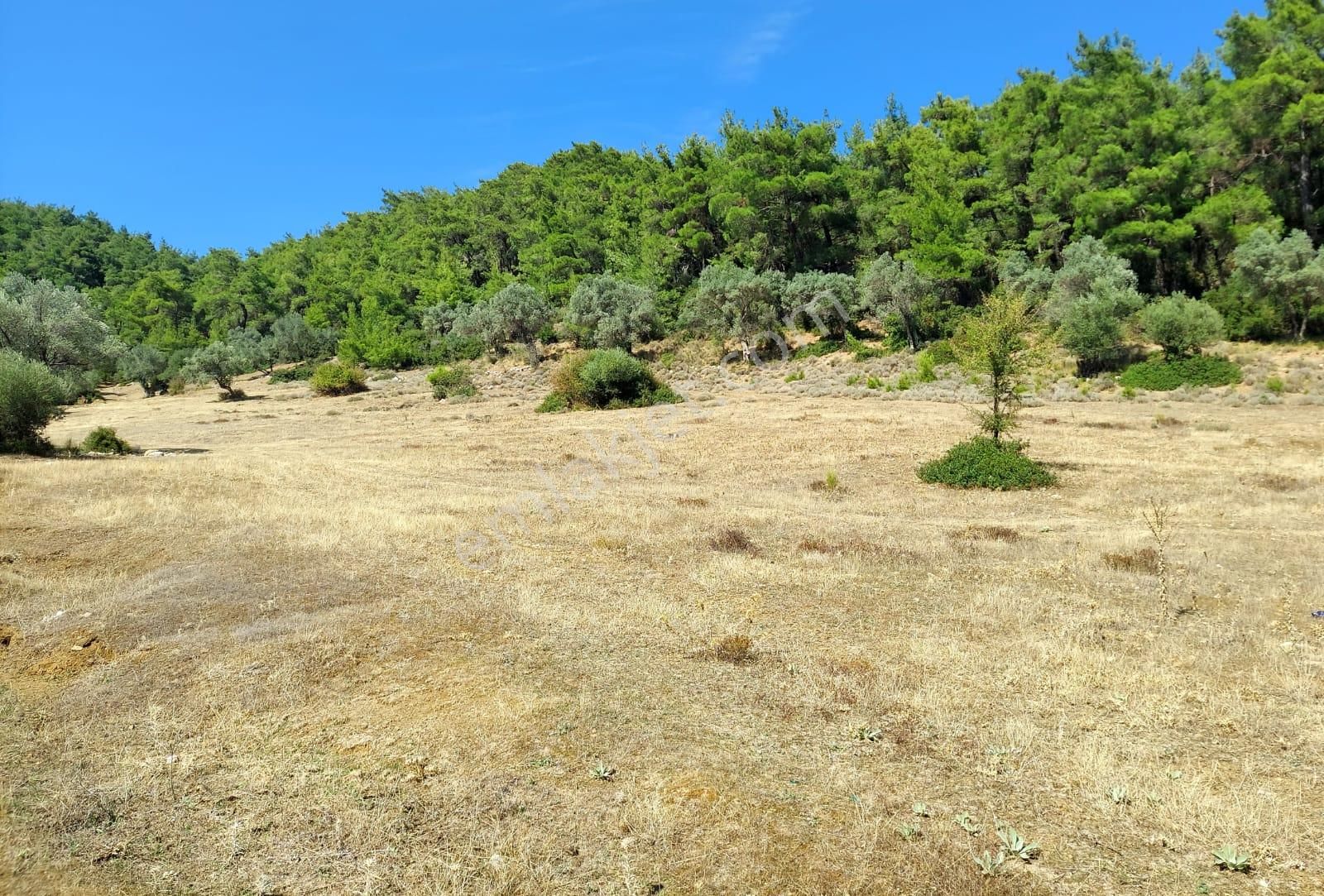 Menderes Ataköy' De Tek Tapu İmar Yakınında Satılık Arsa - Görsel 6