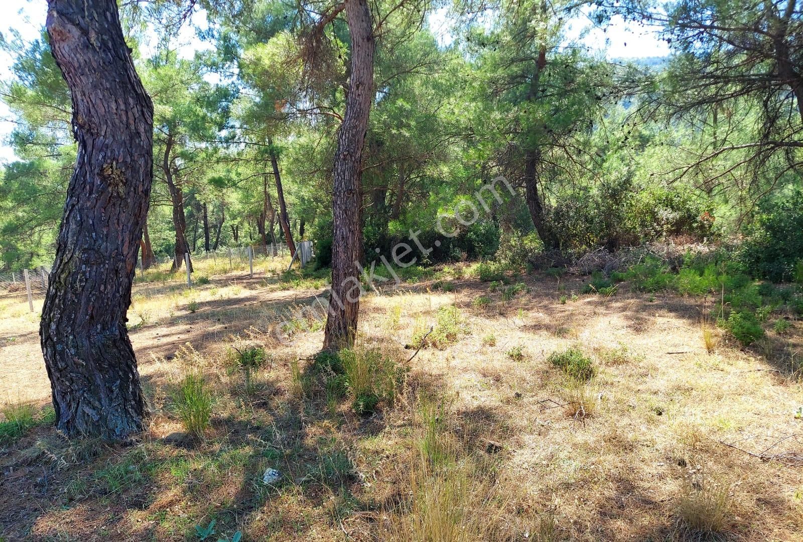 Menderes Ataköy' De Tek Tapu İmar Yakınında Satılık Arsa - Görsel 13