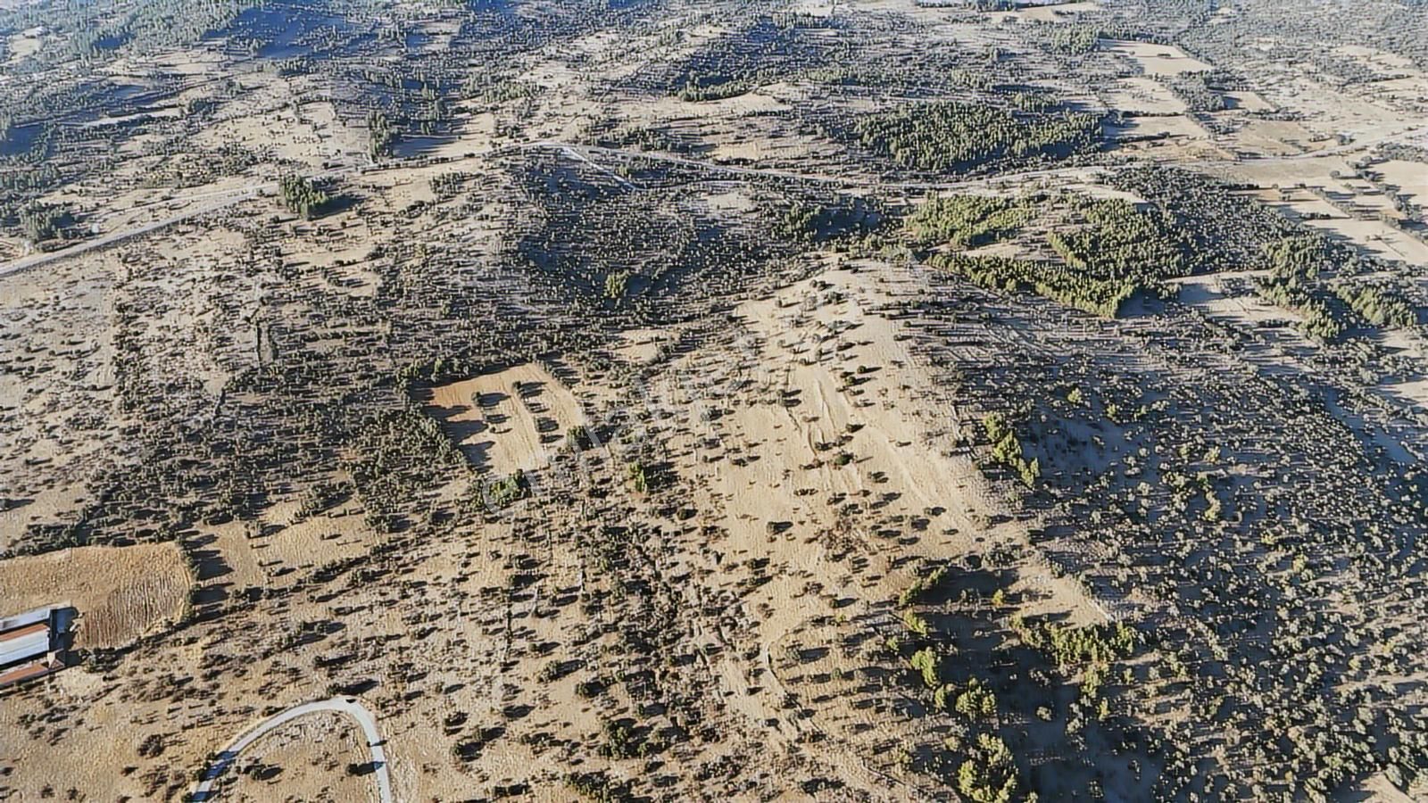 İmara 365 Metre Denizli Bekilli Yahyalarda Yatırımlık Fırsat - Görsel 10