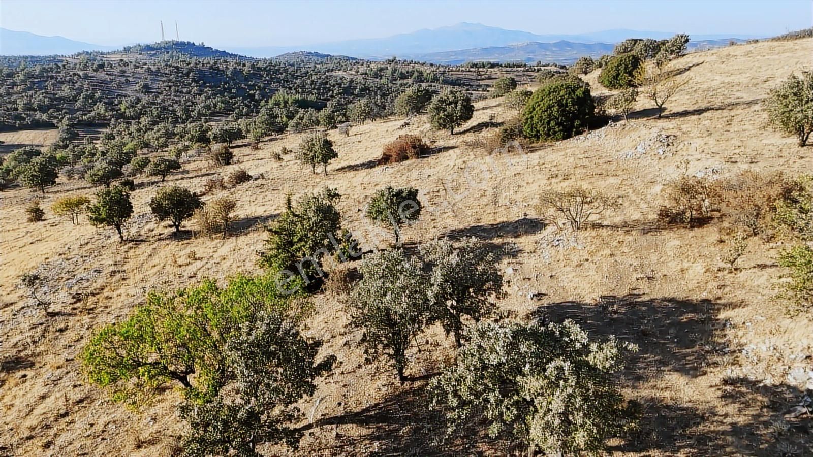 İmara 365 Metre Denizli Bekilli Yahyalarda Yatırımlık Fırsat - Görsel 14