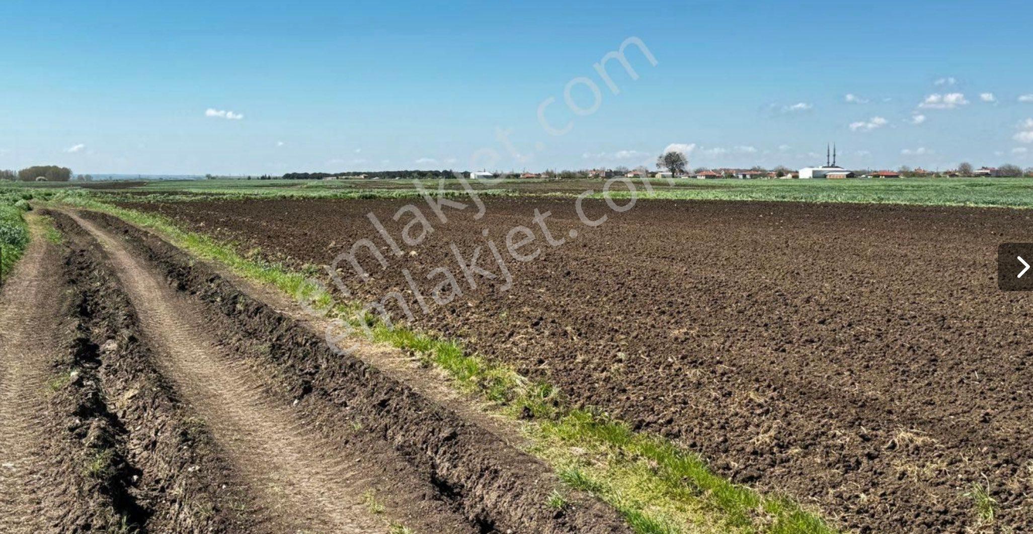 Sahibinden 2047m2 Mahalleye Yakın Müstakil Tek Tapu - Görsel 5