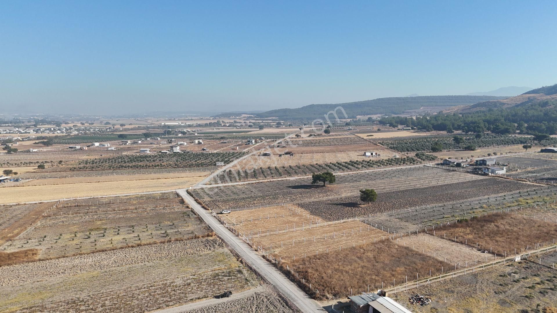 Tekeli-develi Üstünde Kupon Yerde 650 M2 2 Adet Arsalar Menderes İzmir - Görsel 35