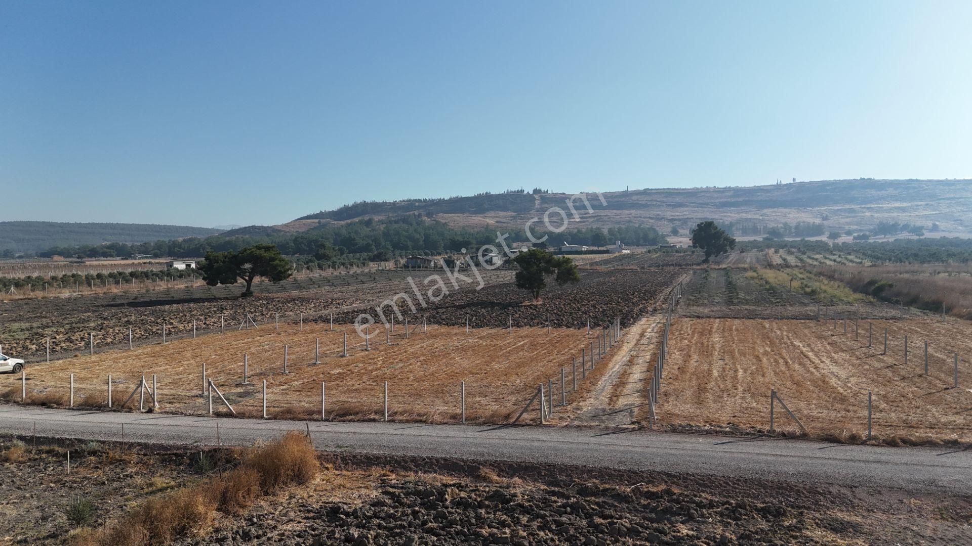 Tekeli-develi Üstünde Kupon Yerde 650 M2 2 Adet Arsalar Menderes İzmir - Görsel 26