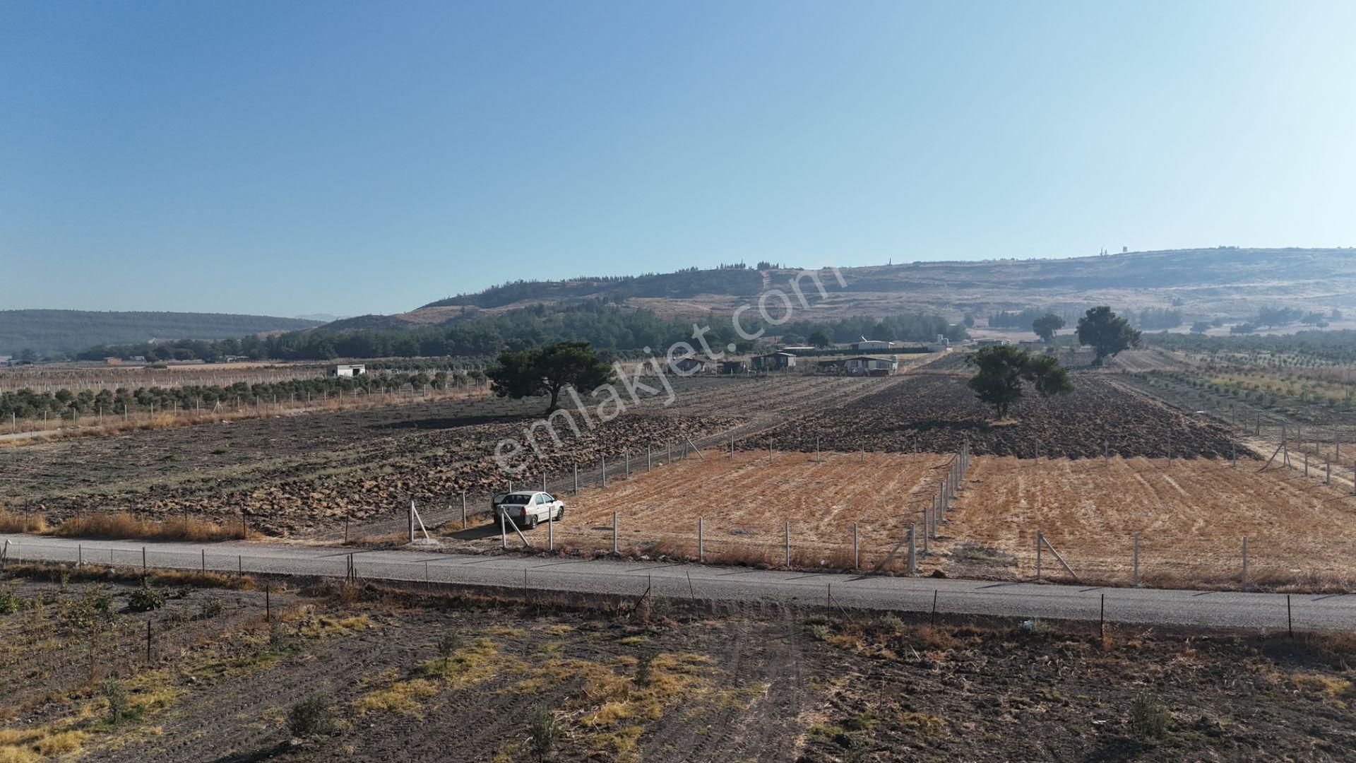 Tekeli-develi Üstünde Kupon Yerde 650 M2 2 Adet Arsalar Menderes İzmir - Görsel 12