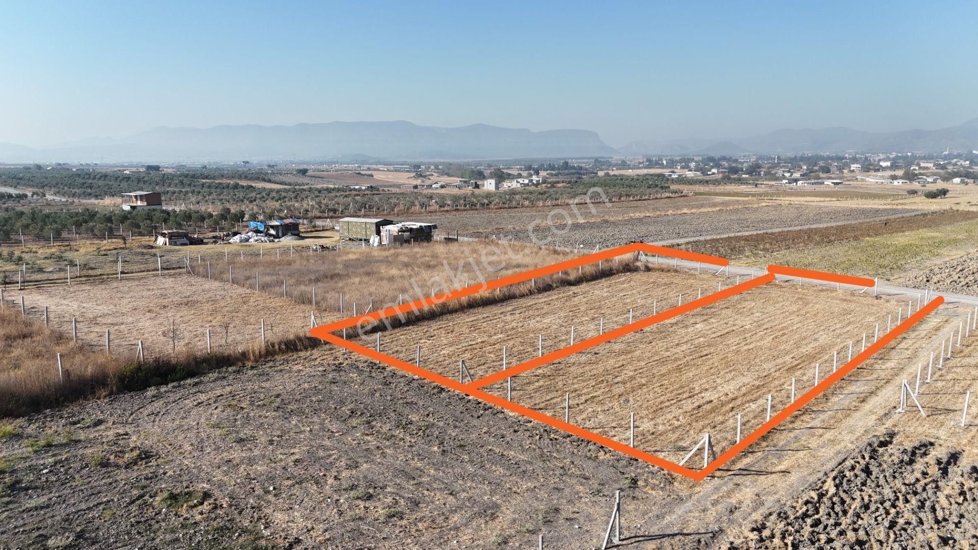 Tekeli-develi Üstünde Kupon Yerde 650 M2 2 Adet Arsalar Menderes İzmir - Görsel 2