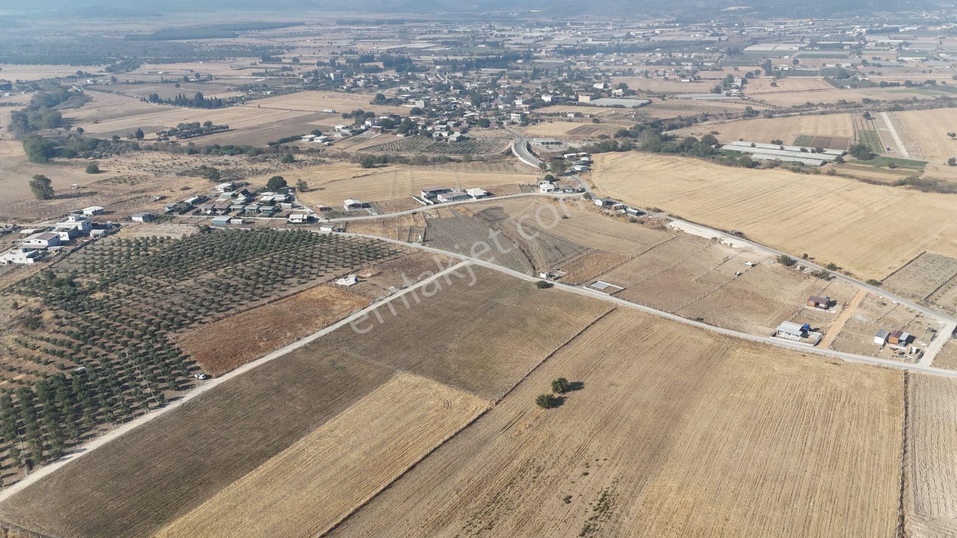 Tekeli-develi Üstünde Kupon Yerde 650 M2 2 Adet Arsalar Menderes İzmir - Görsel 8