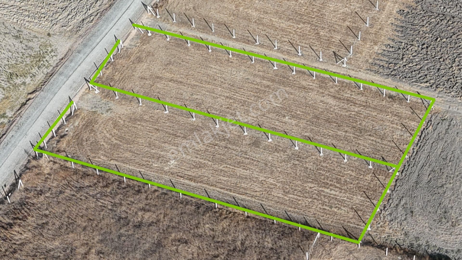 Tekeli-develi Üstünde Kupon Yerde 650 M2 2 Adet Arsalar Menderes İzmir