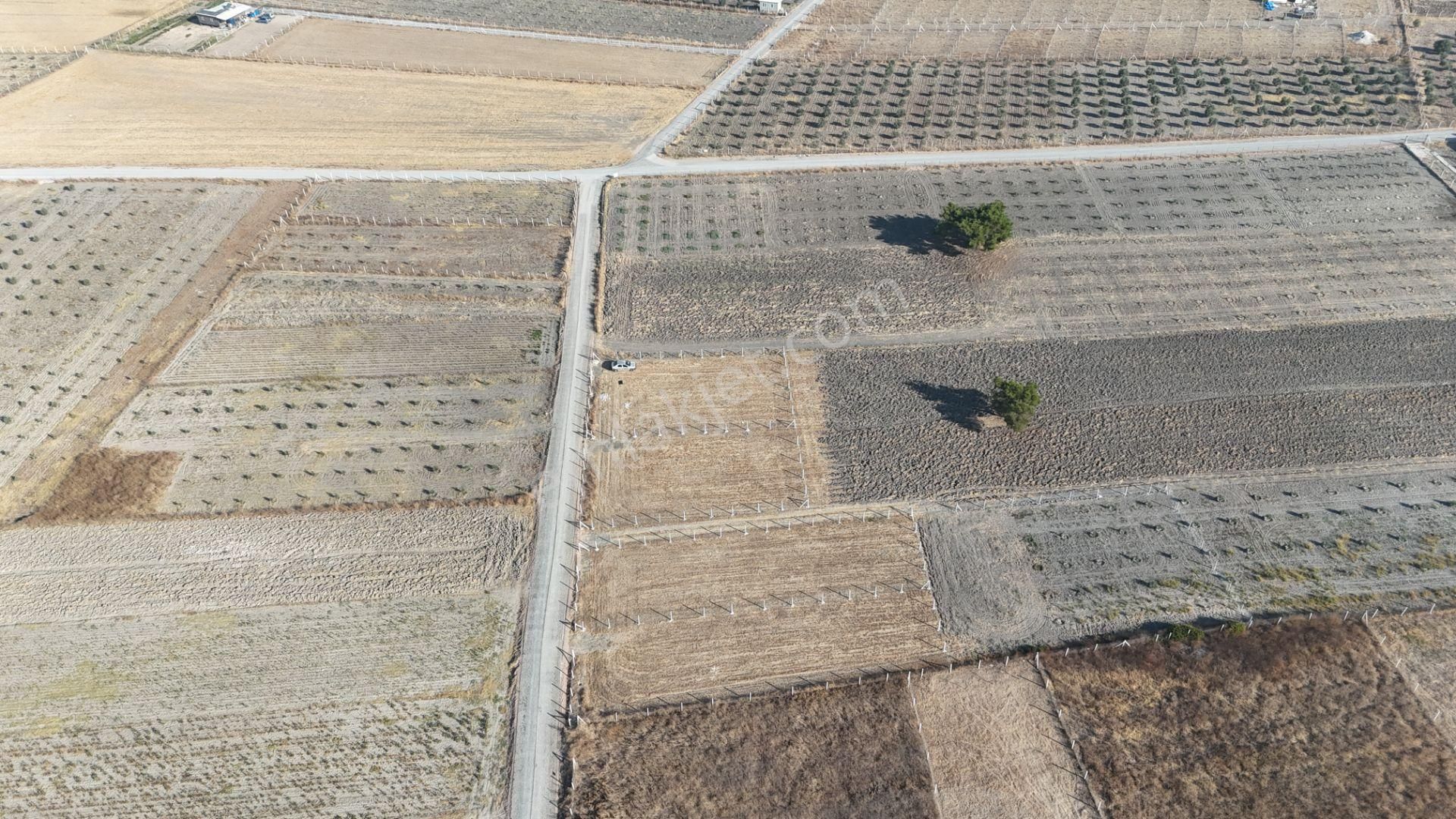 Tekeli-develi Üstünde Kupon Yerde 650 M2 2 Adet Arsalar Menderes İzmir - Görsel 23