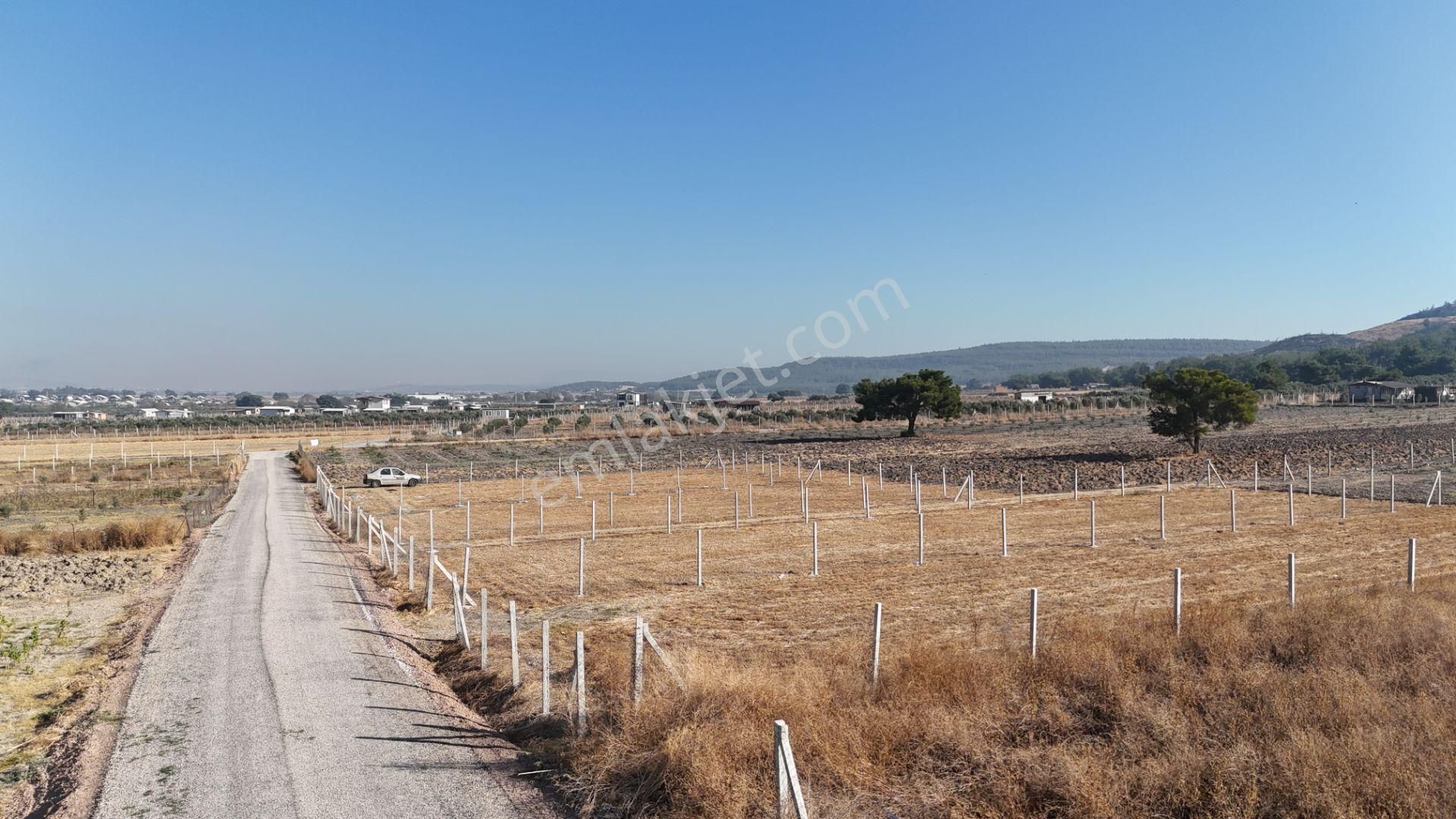 Tekeli-develi Üstünde Kupon Yerde 650 M2 2 Adet Arsalar Menderes İzmir - Görsel 9