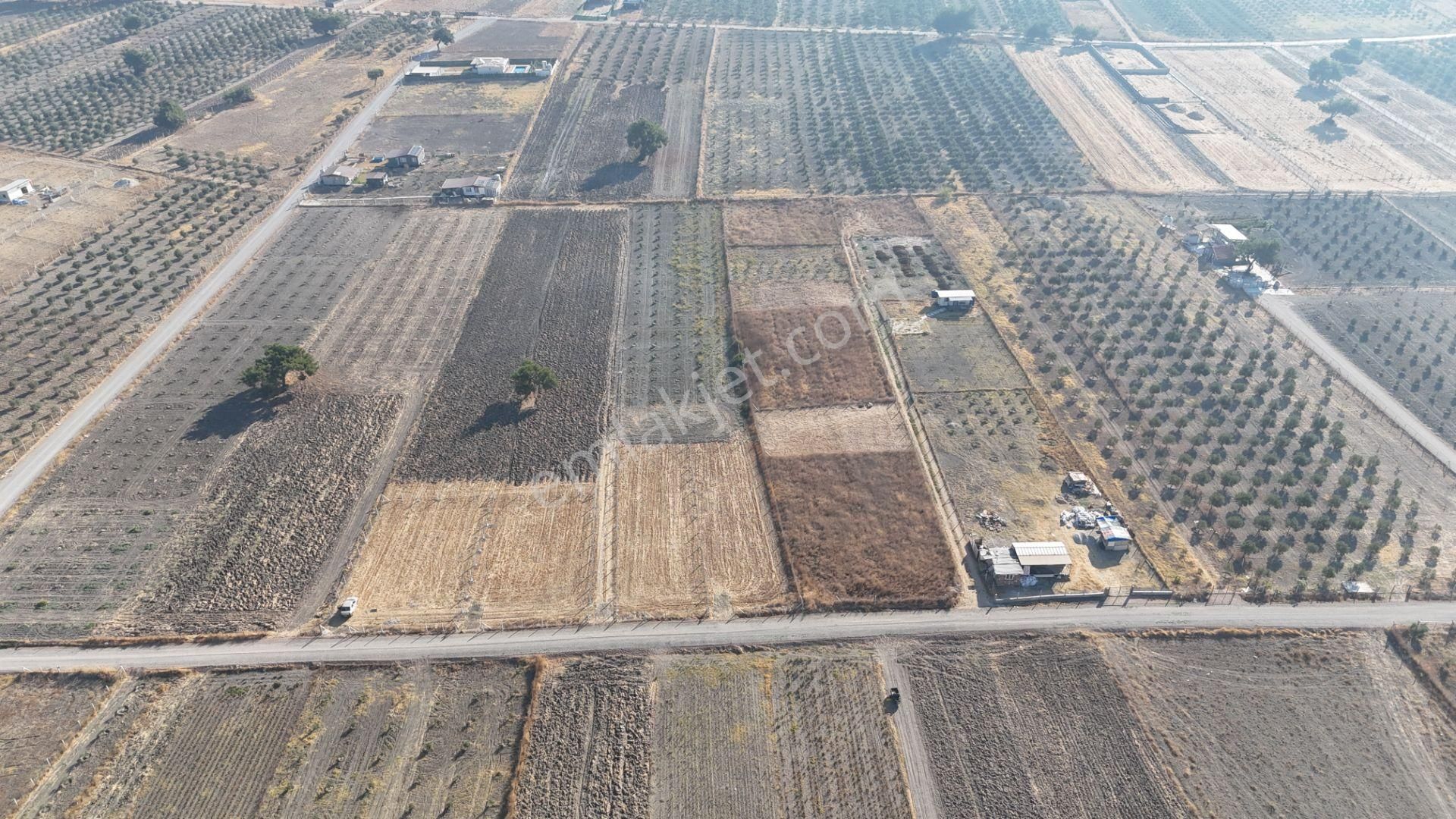 Tekeli-develi Üstünde Kupon Yerde 650 M2 2 Adet Arsalar Menderes İzmir - Görsel 21