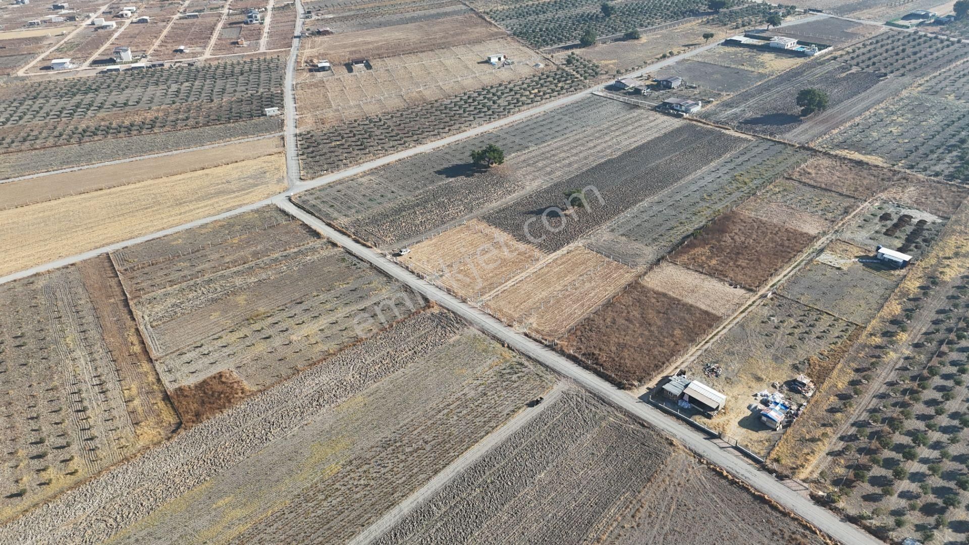 Tekeli-develi Üstünde Kupon Yerde 650 M2 2 Adet Arsalar Menderes İzmir - Görsel 17