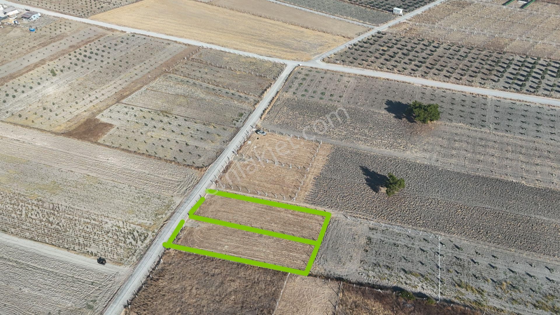 Tekeli-develi Üstünde Kupon Yerde 650 M2 2 Adet Arsalar Menderes İzmir - Görsel 13