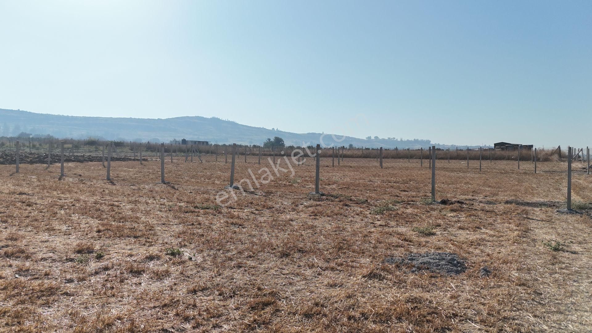 Tekeli-develi Üstünde Kupon Yerde 650 M2 2 Adet Arsalar Menderes İzmir - Görsel 29