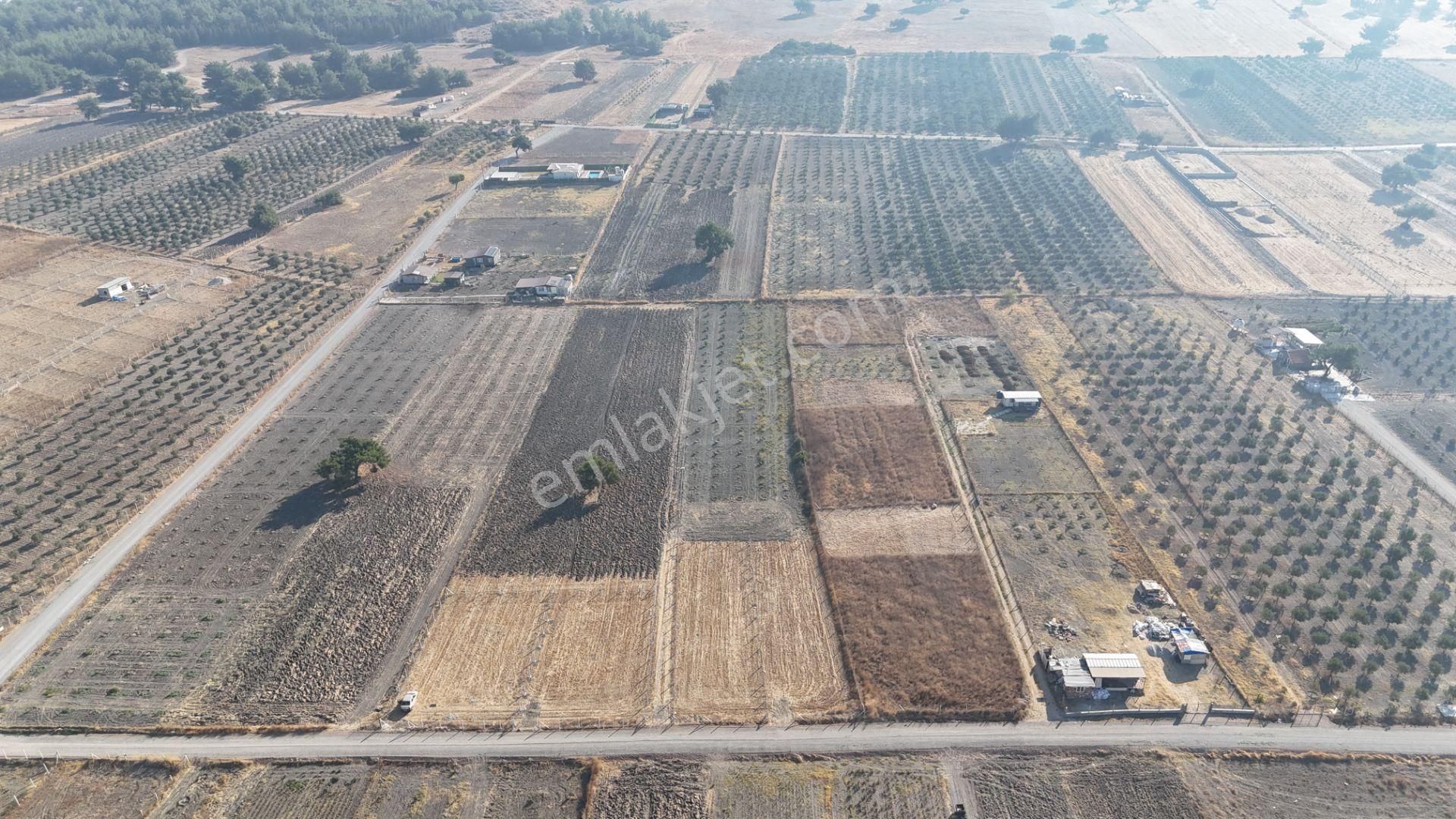 Tekeli-develi Üstünde Kupon Yerde 650 M2 2 Adet Arsalar Menderes İzmir - Görsel 34