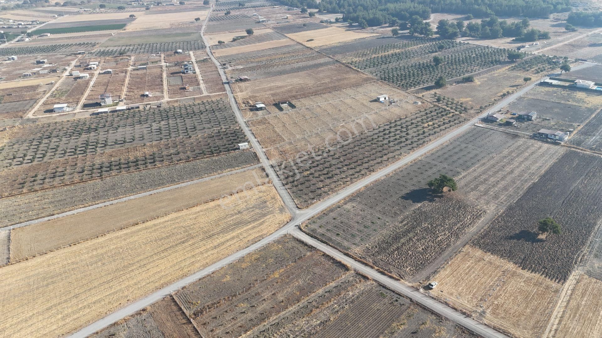 Tekeli-develi Üstünde Kupon Yerde 650 M2 2 Adet Arsalar Menderes İzmir - Görsel 32