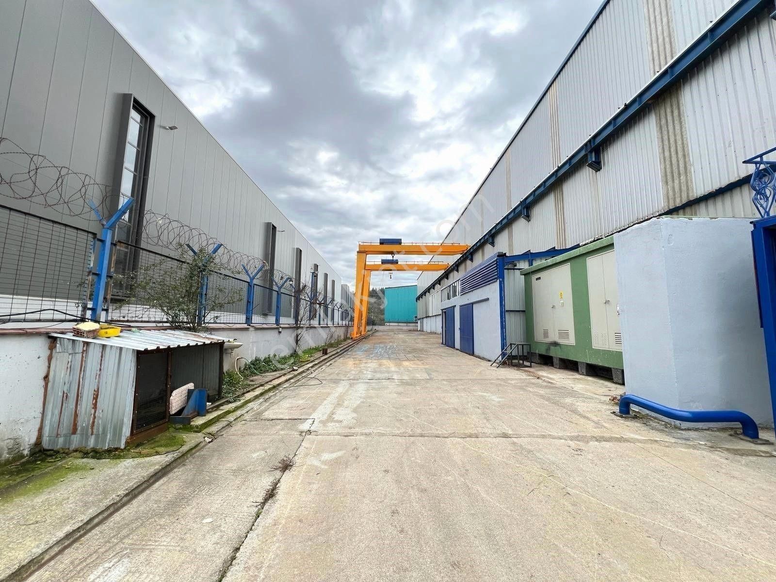 Dilovası Kobi Osb'de 2500 M2+400 Kwa+7 Adet Vinçli Satılık Fabrika - Görsel 4