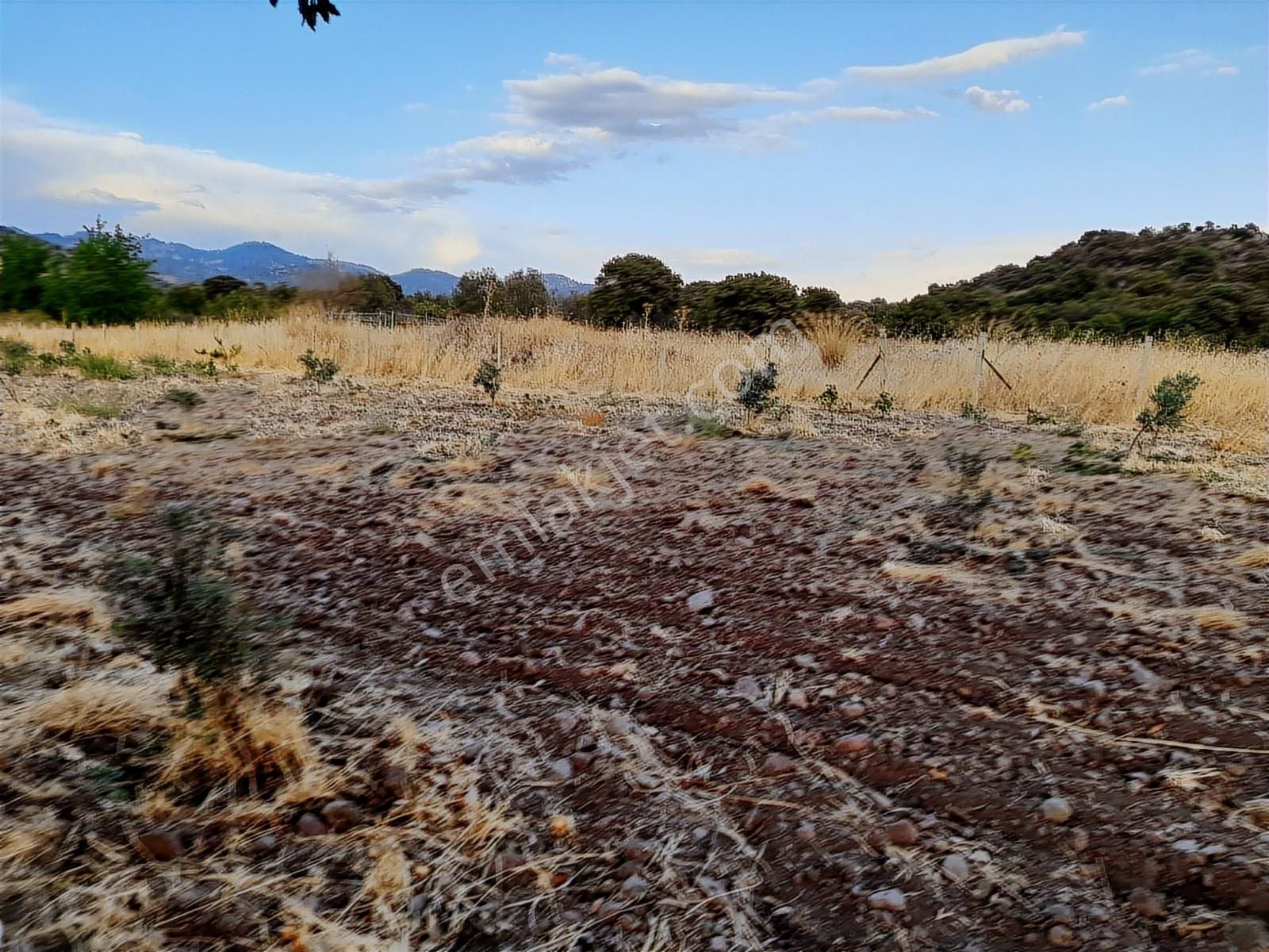 Dikili Salihler Mahallesinde Satılık Tarla - Görsel 11