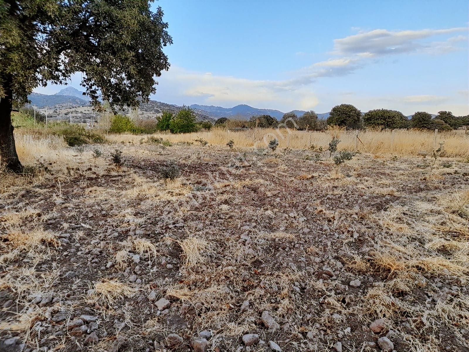 Dikili Salihler Mahallesinde Satılık Tarla - Görsel 10