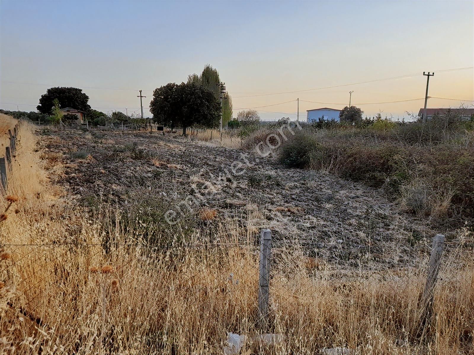 Dikili Salihler Mahallesinde Satılık Tarla - Görsel 4