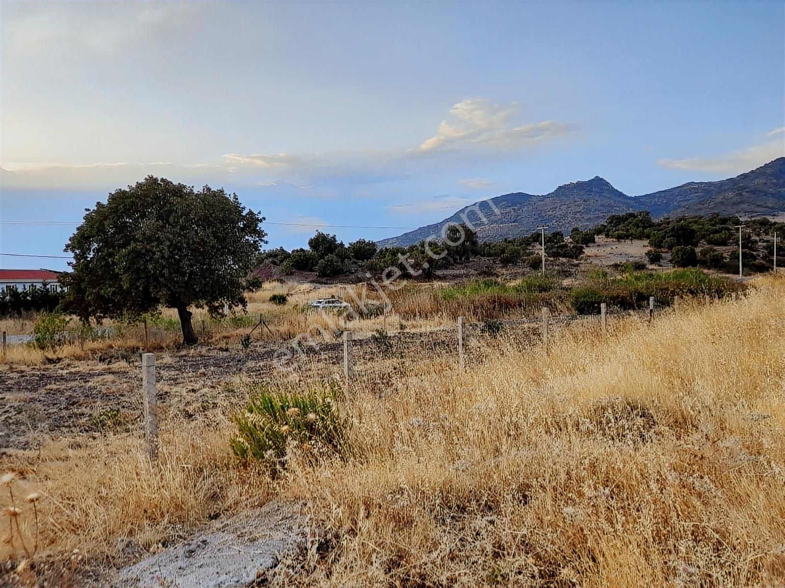 Dikili Salihler Mahallesinde Satılık Tarla - Görsel 5
