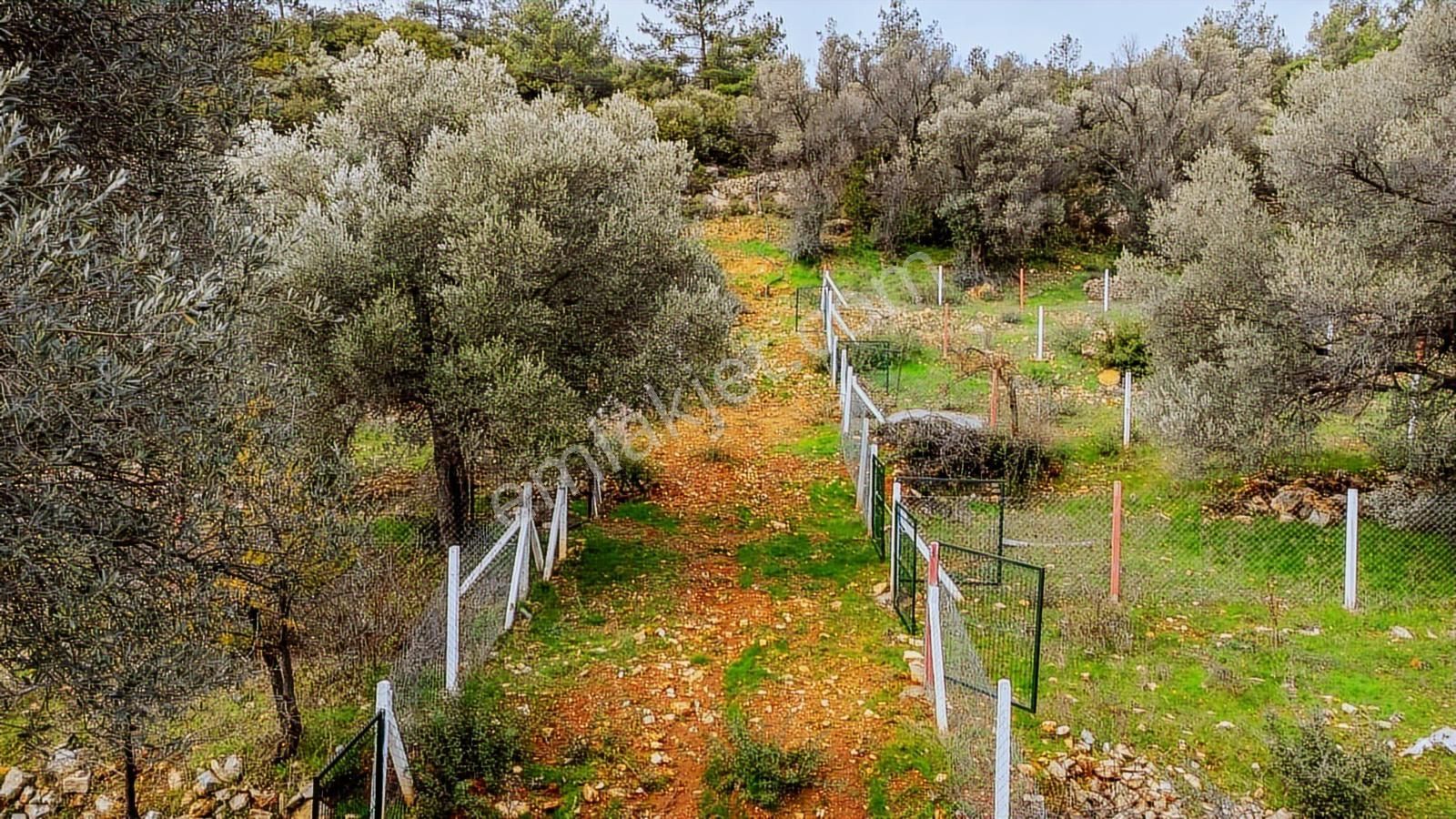 Bodrum Yalıçiftlikte 342m2 Hisse Tapulu Parsel - Görsel 5