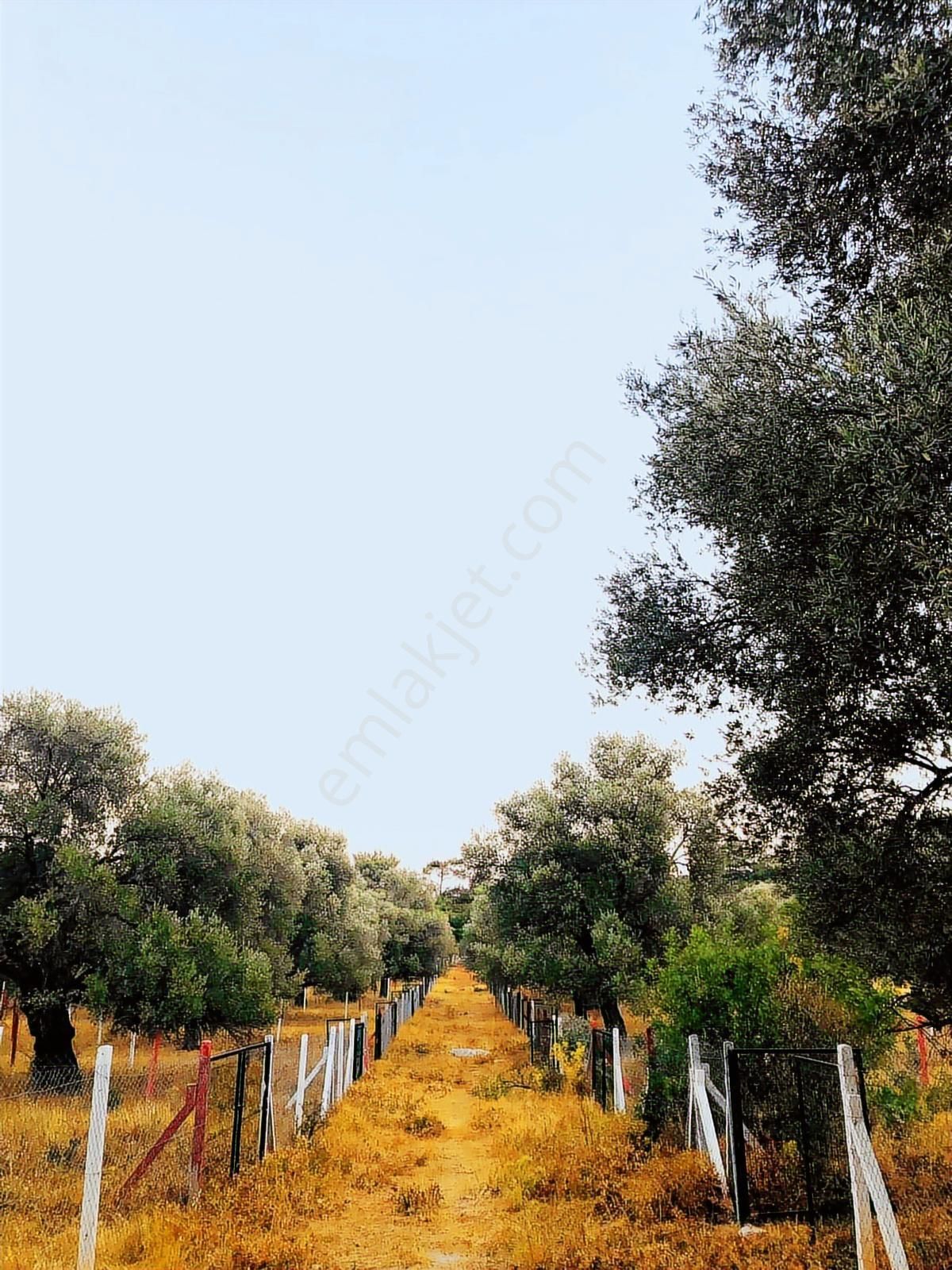 Bodrum Yalıçiftlikte 342m2 Hisse Tapulu Parsel - Görsel 10