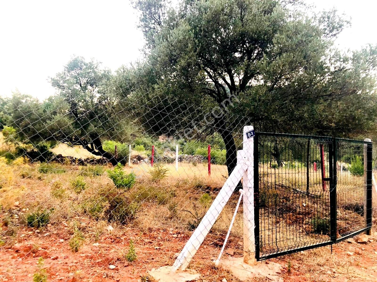 Bodrum Yalıçiftlikte 342m2 Hisse Tapulu Parsel - Görsel 4