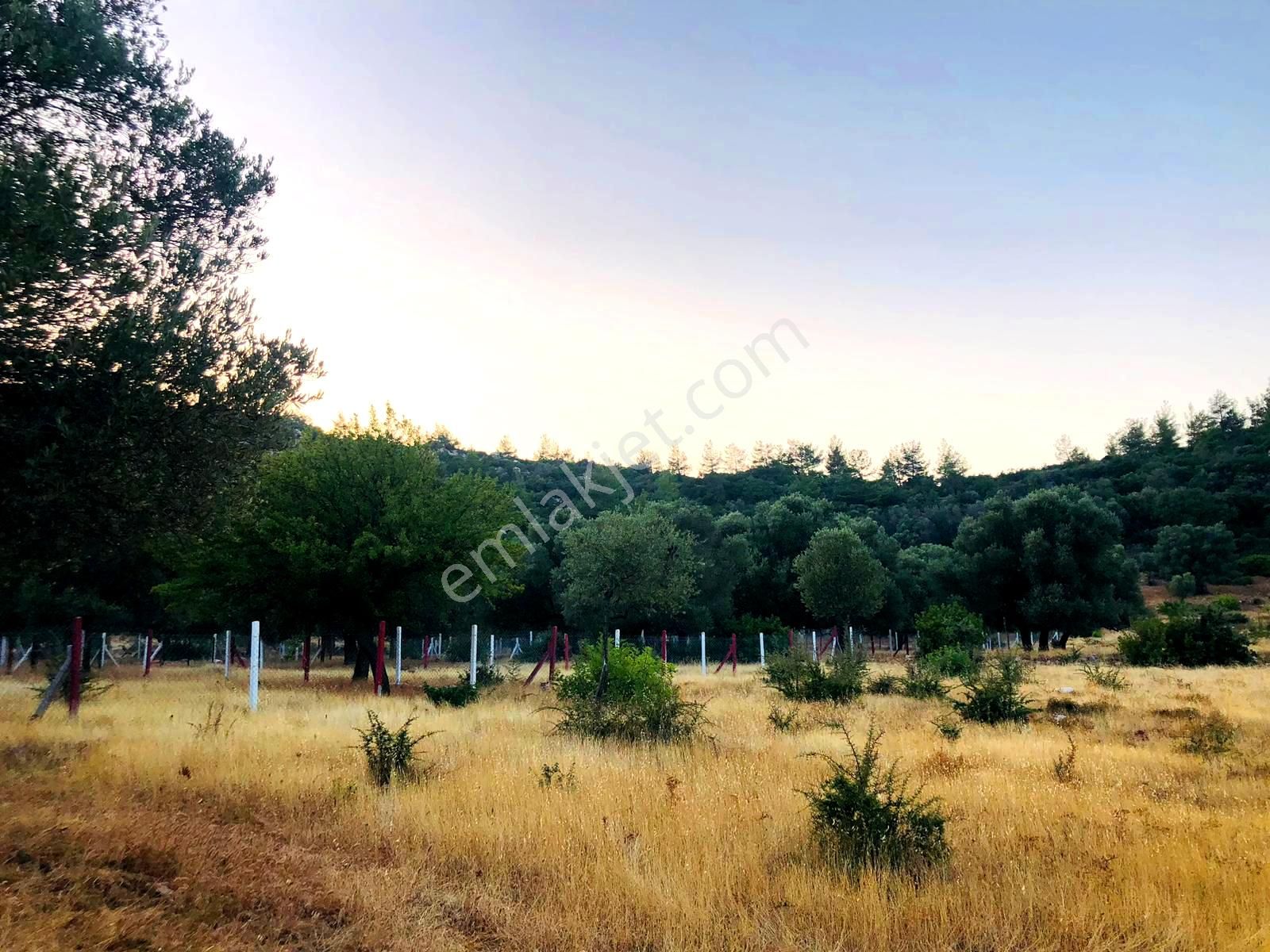 Bodrum Yalıçiftlikte 342m2 Hisse Tapulu Parsel - Görsel 12