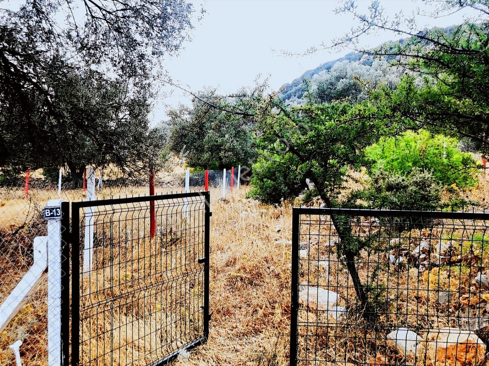 Bodrum Yalıçiftlikte 342m2 Hisse Tapulu Parsel - Görsel 13