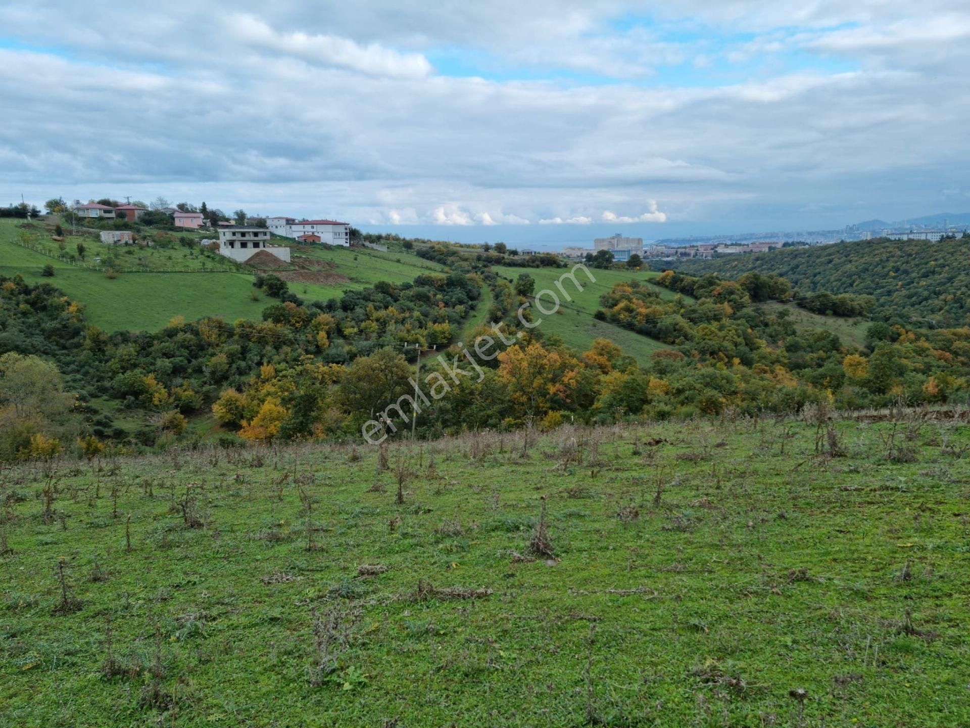 Akgün Kurumsal'dan Atakum İncesu'da Kat Karşılığı Arsa - Görsel 13