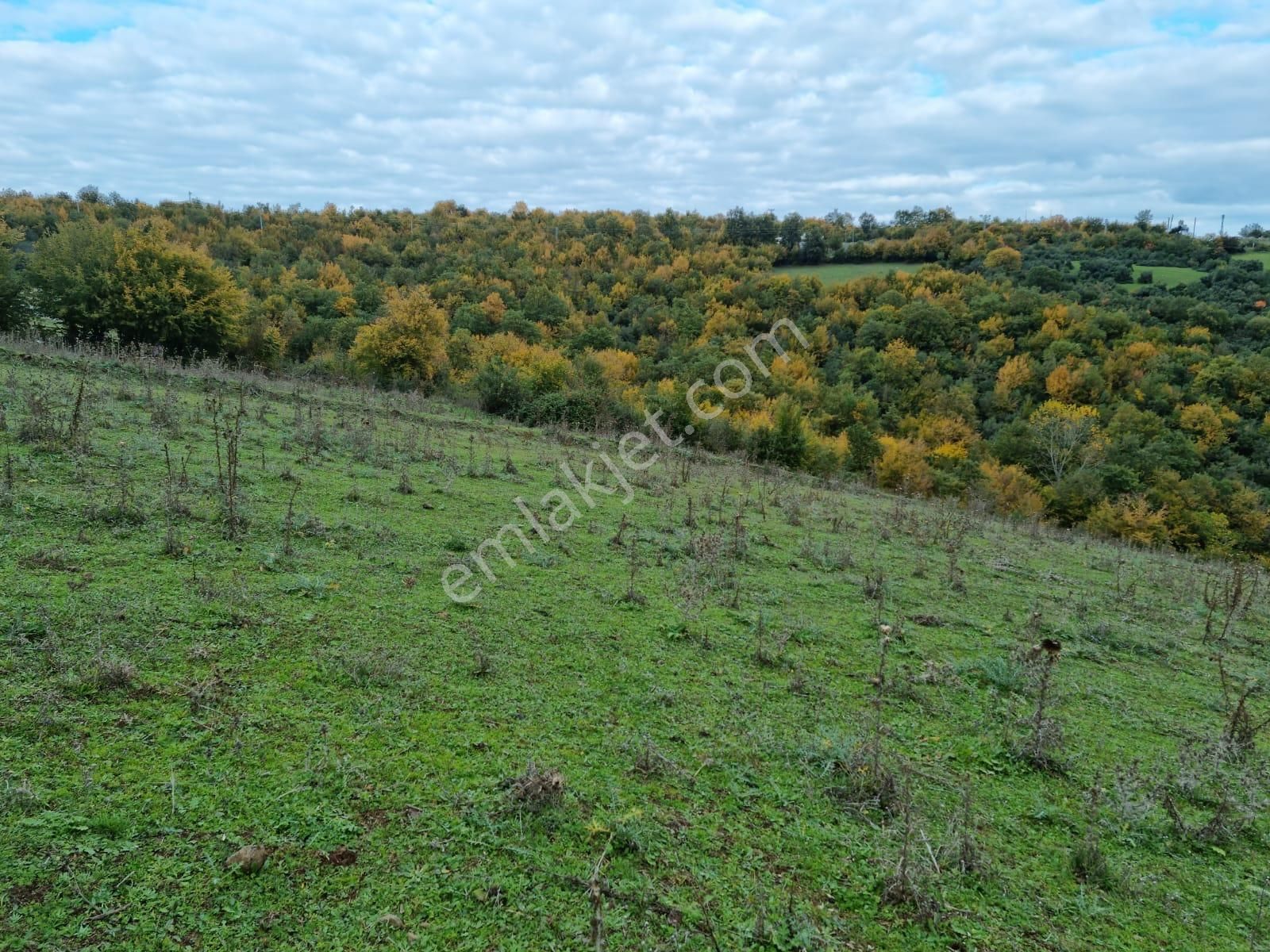 Akgün Kurumsal'dan Atakum İncesu'da Kat Karşılığı Arsa - Görsel 18