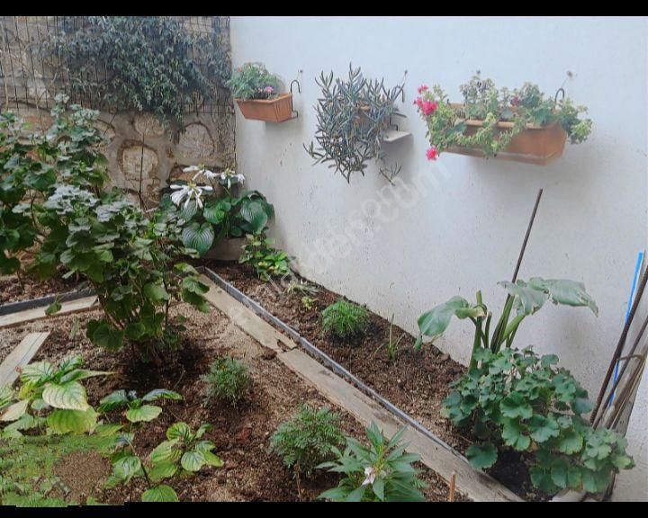 Mü Vemüstakil Tadında - Görsel 10