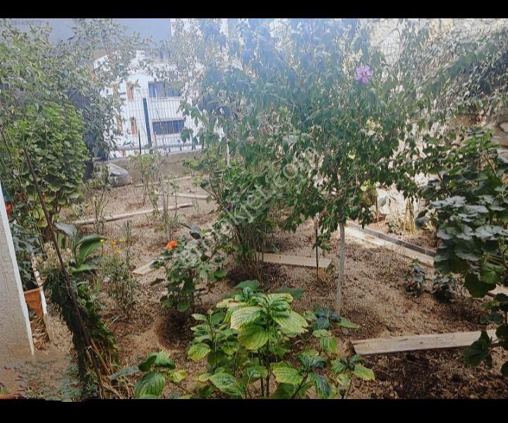 Mü Vemüstakil Tadında - Görsel 20