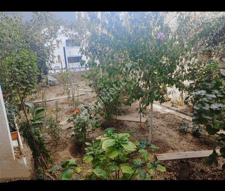 Mü Vemüstakil Tadında - Görsel 19