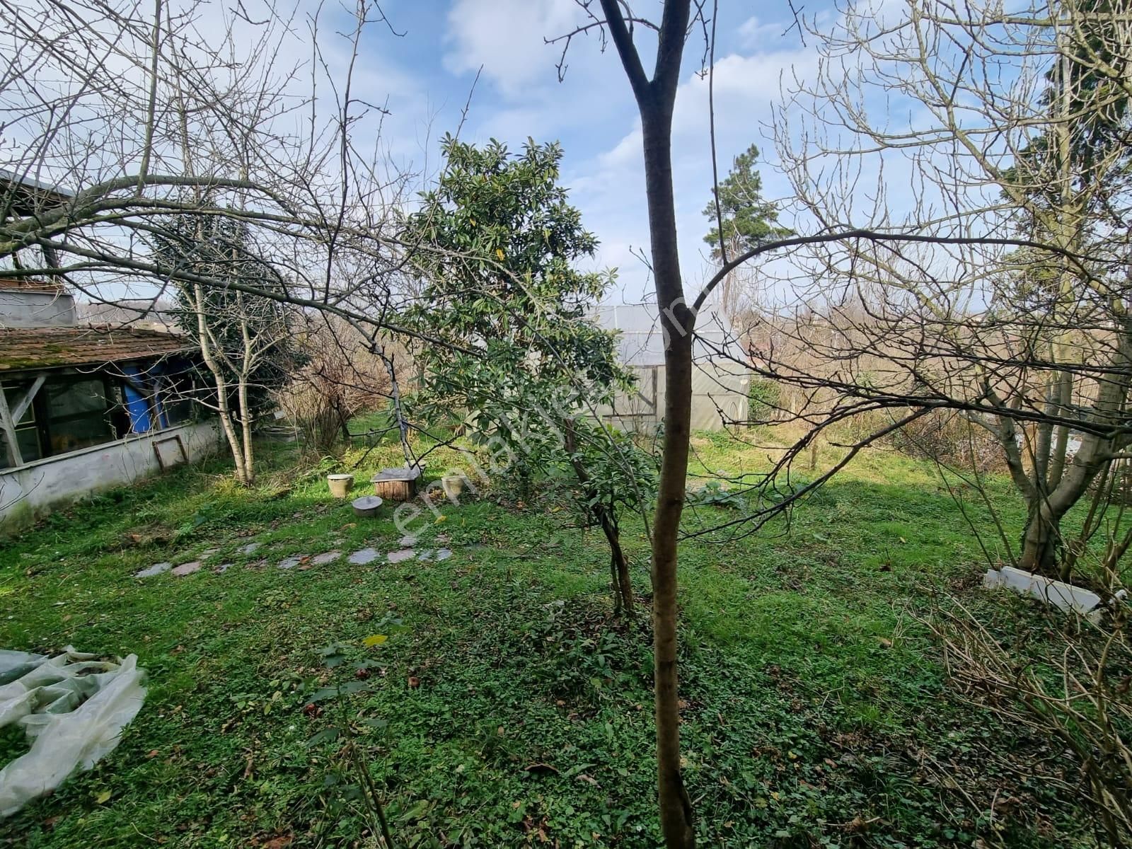 Salıpazarı Bereket Mah. Satılık Tarla Ve Ev Akgün Kurumsaldan - Görsel 22