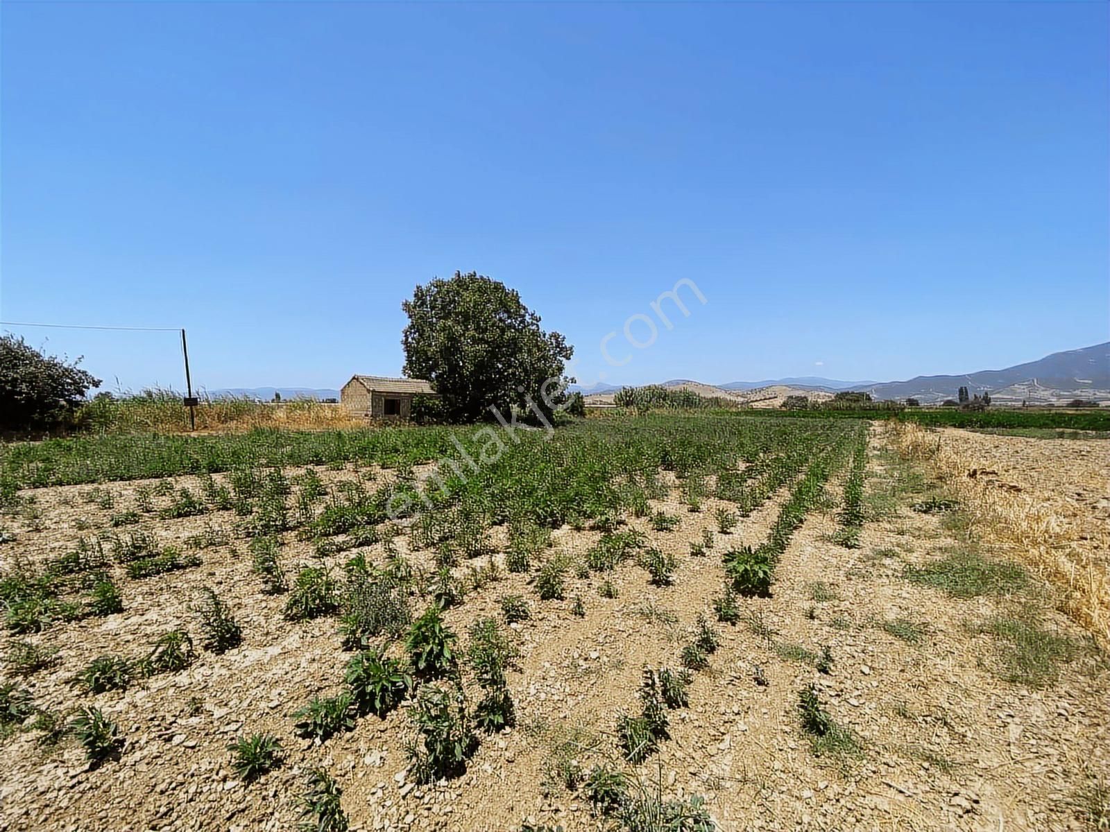 Akar Emlaktan Satılık Köyiçi İmarlı Tarla - Görsel 7